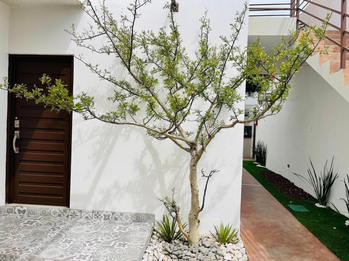 Casa Maya ラパス エクステリア 写真